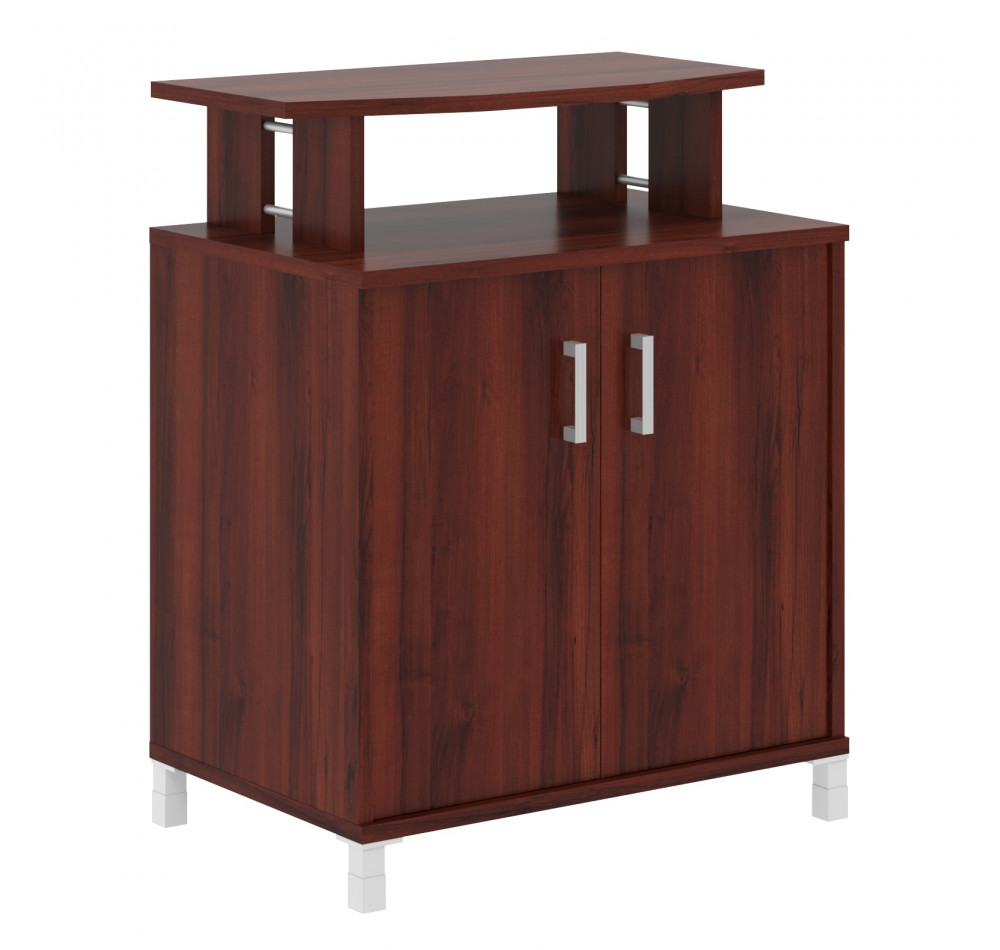 Фригобар с опорами B 450.1 Бургунди 900х600х1145 BORN