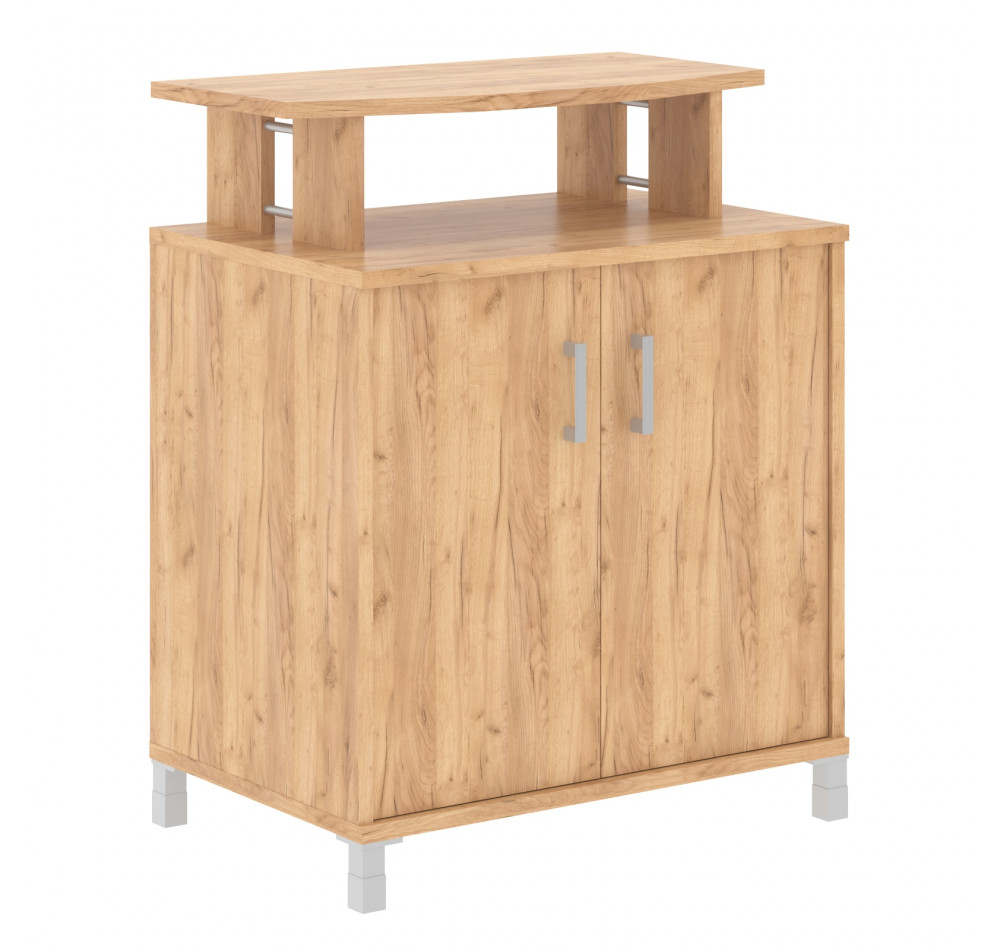 Фригобар с опорами B 450.1 Дуб Бофорд 900х600х1145 BORN